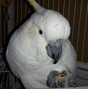 Meet your Posher, Jannell